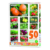 Laço Kids Resimlerle İngilizce Destekli Meyve-Sebze Kartları Eğitici Öğretici Oyun